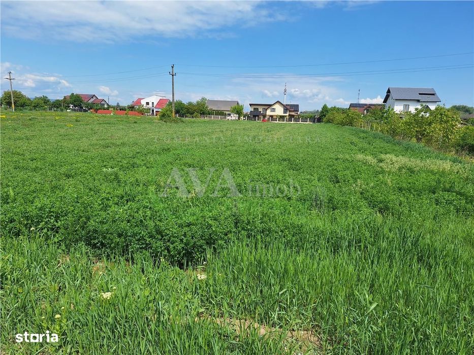 Teren intravilan 3177 mp, zona Serbanesti