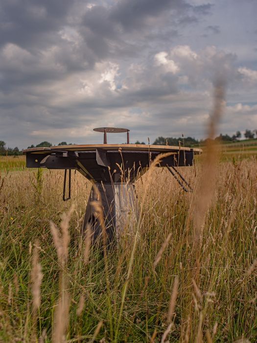 Live cooking pentru pensiuni / hoteluri