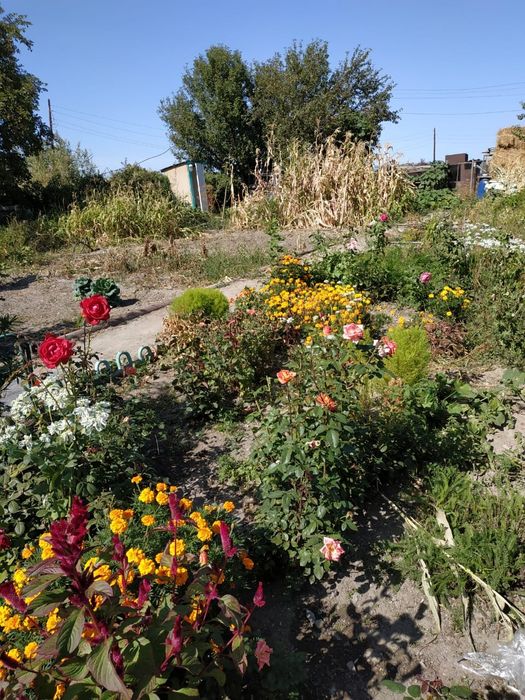 Продам дом в дачном массиве