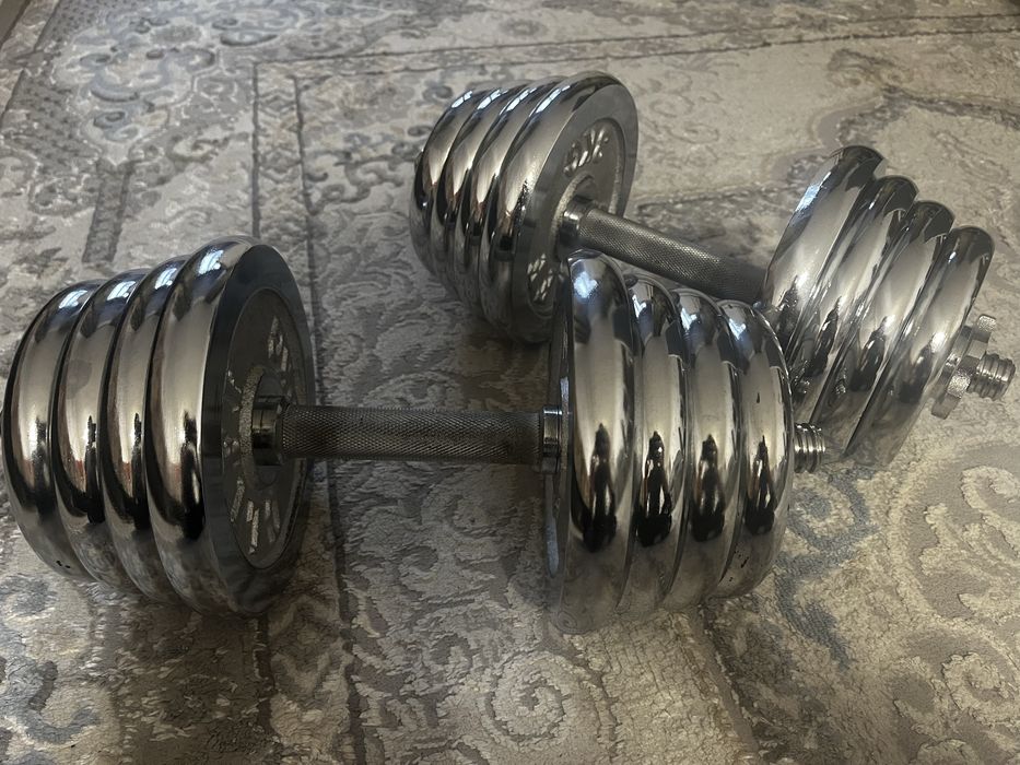 Гантели 40 Кг (20+20)