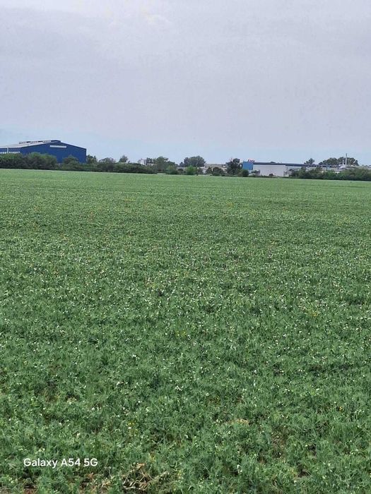 Продава се Парцел в Пловдив, Индустриална зона - Север - 7962 кв.м за 19 €/кв.м - Снимка #13