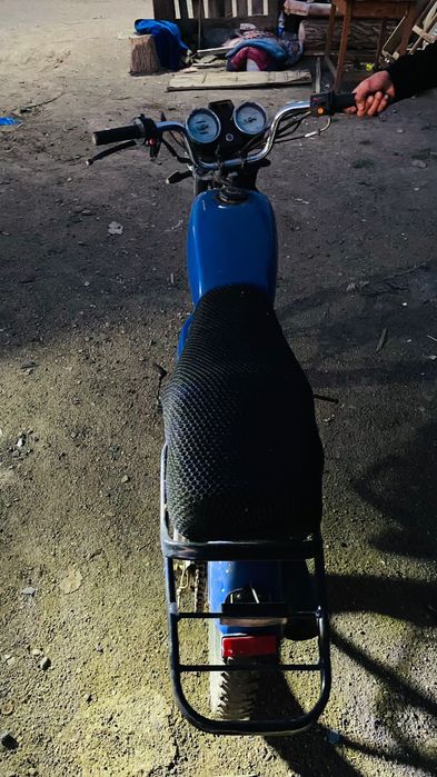 Продам алфа рейсар