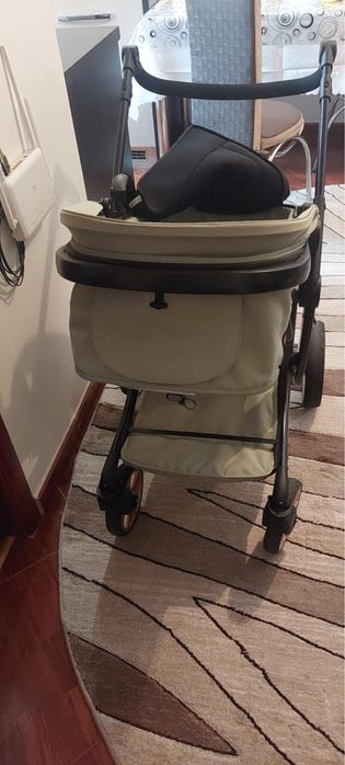 carucior 2 in 1 , cu scoica