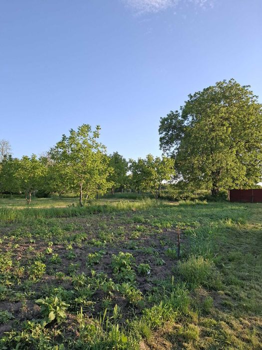 gospodarie completa+ teren 7200mp, centru loc. Galbeni Filipesti Bacau