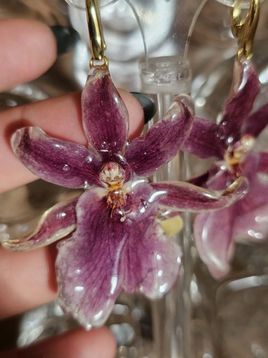 Обеци с естествен цвят на мини орхидея Miltonia.