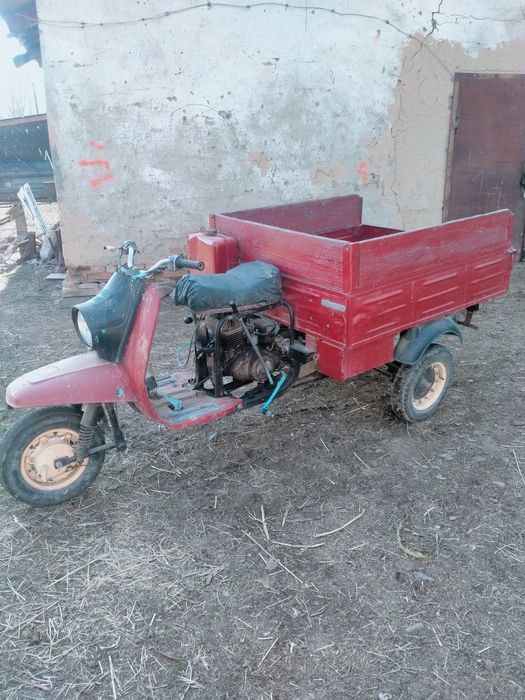 Муравей Мотороллер