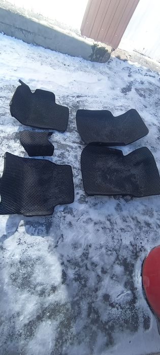 Ева полик на кобальт