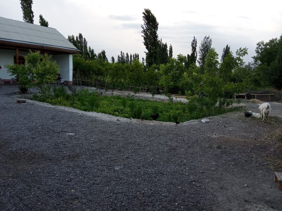 Ховли Уй зудлик Билан сотилади