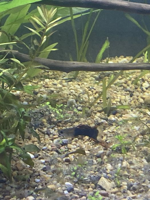 Продам аквариум 160литр