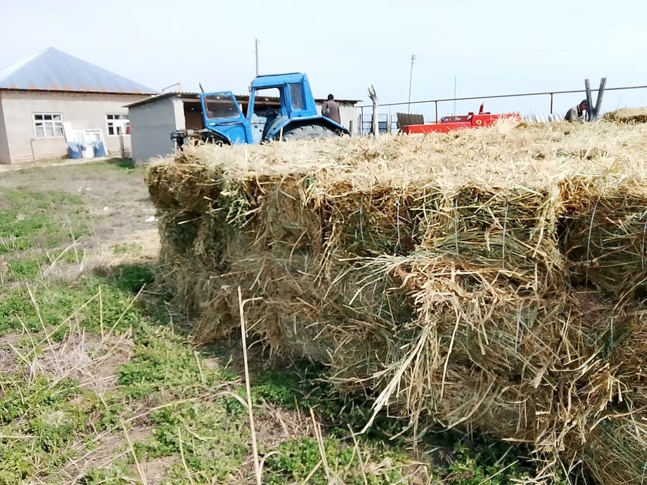 Сатылады Шөп пресс Жоңышқа мен аралас орылған