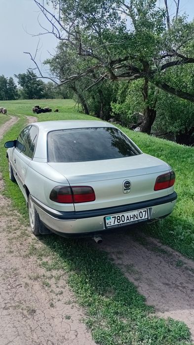 Обмен на матиз либо на овец.