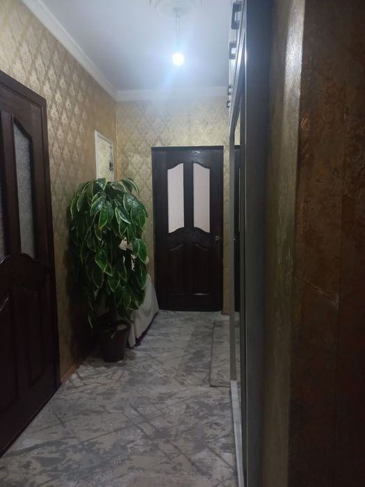 Коратош чорсу 2/9/9