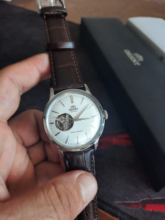 Orient Bambino Automatic