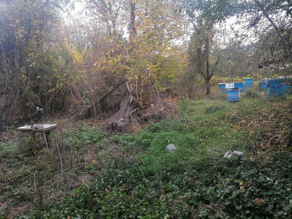 Продава се Къща в с. Храброво, Област Варна - 2000 кв.м за 10 €/кв.м - Снимка #7