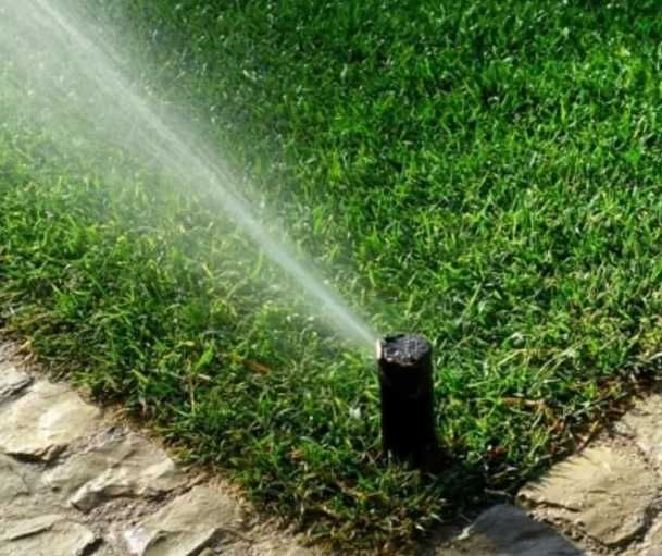 Gazon Rulou si Insamantare