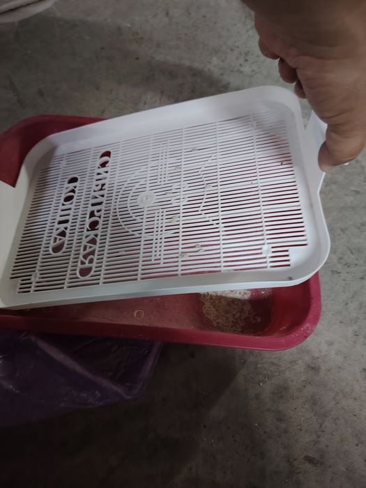 Лоток для котенка