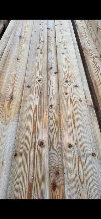 Лиственница. Алматы