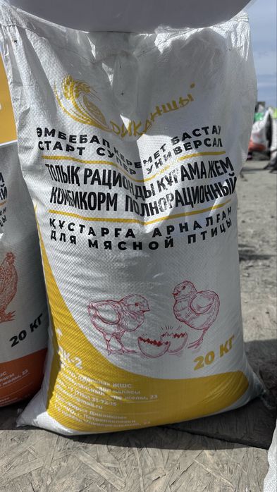 Корм Богданович ,Диканшы