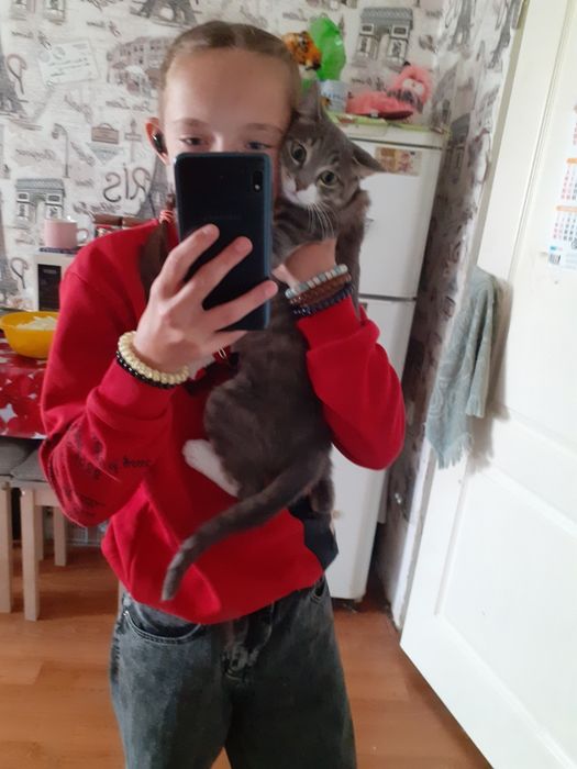 Отдам бесплатно кота зовут Адам в лоток Ходит всё всё хорошо Кушает чт