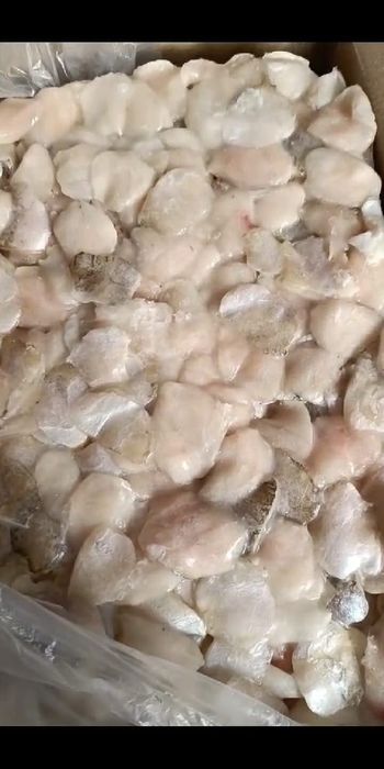 Рыба свежая оптом