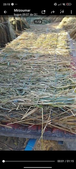 Tomga qamishlar sifatli to'qilgan qalin  va arzon