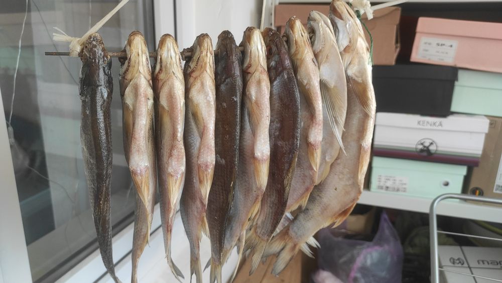 Рыбец сатылады кепкен