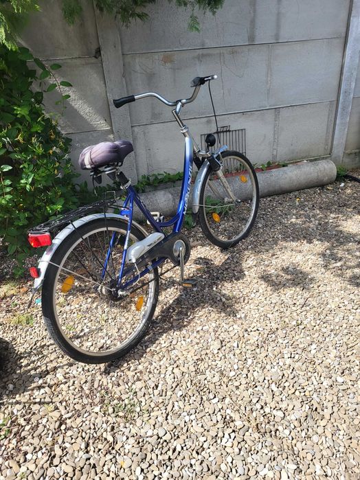 Vand bicicleta mckenzie