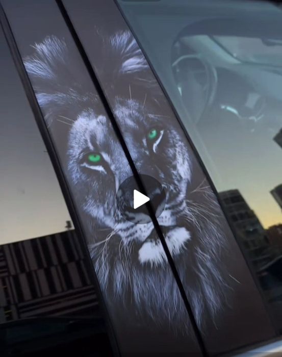 Mashina uchun sher tushirilgan plyo'nka

 Mashanangiz stoykasi uchun s