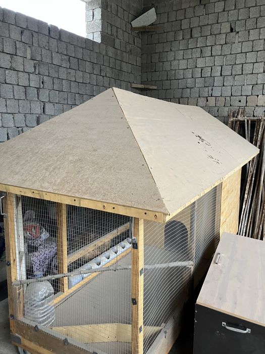 товук катак янги