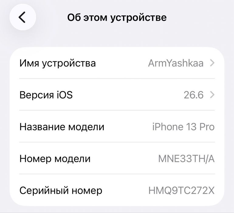 iPhone 13 Pro 256GB
