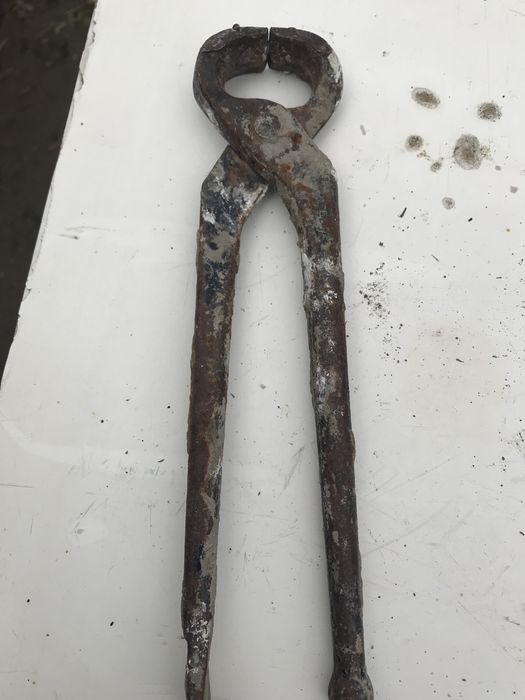 Продам барашки