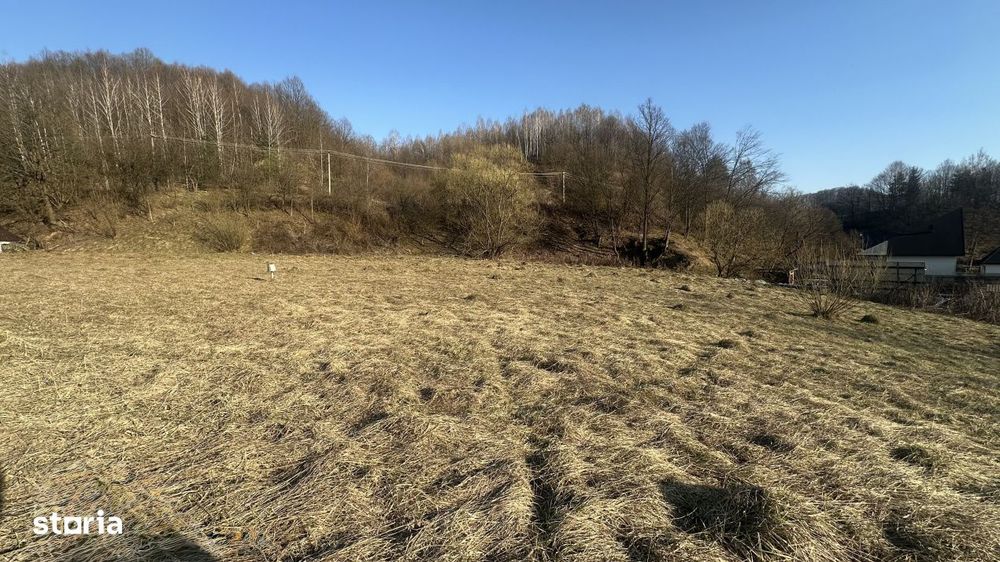 Teren intravilan, 25 ari, zona Firiza