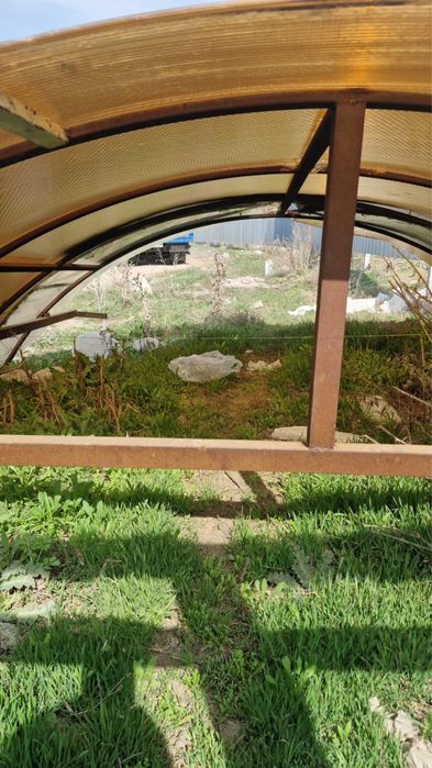 Козерог сатылады