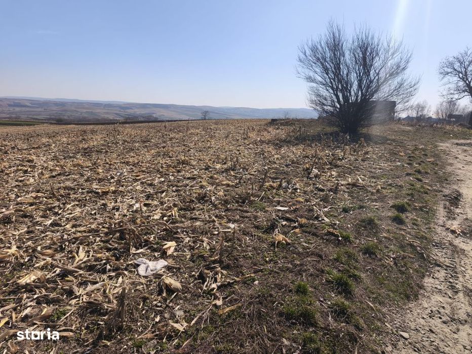 Teren 6500mp, 40ml deschidere la E85, Granicesti, Suceava