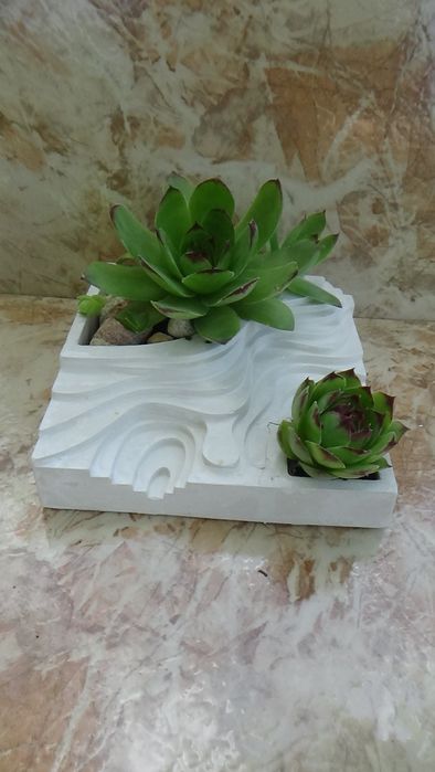 Гипсови кашпи декорирани със растения