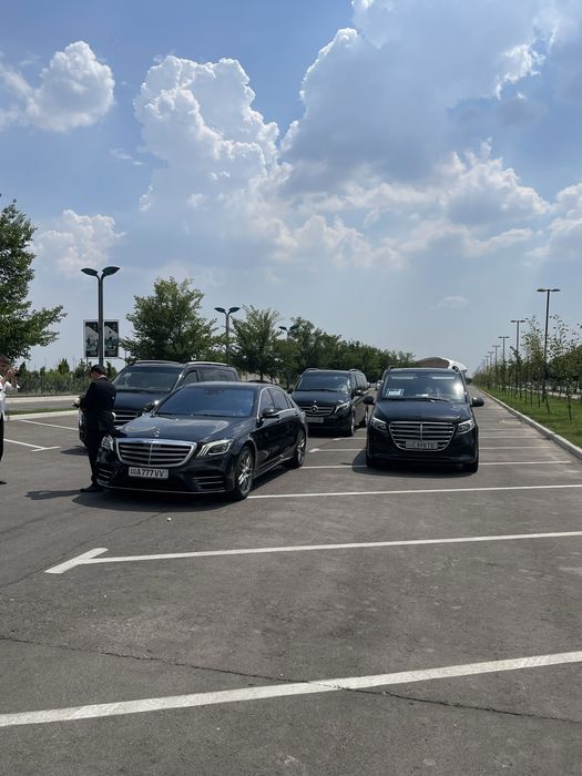 ayraport toy delegatsiya transport amirsoy turizm