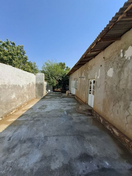 Ховлига ижарага куяман