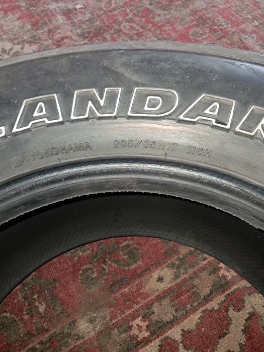 Шина летные бричтаун