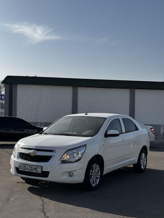 Cobalt Ltz yilli 2023