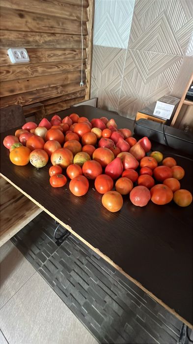 Продам домашние помидоры