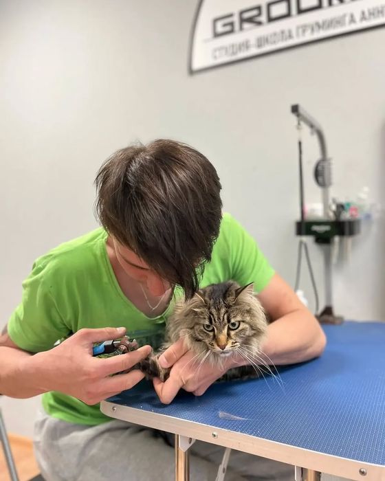 Ветеринарный Врач г.Семей