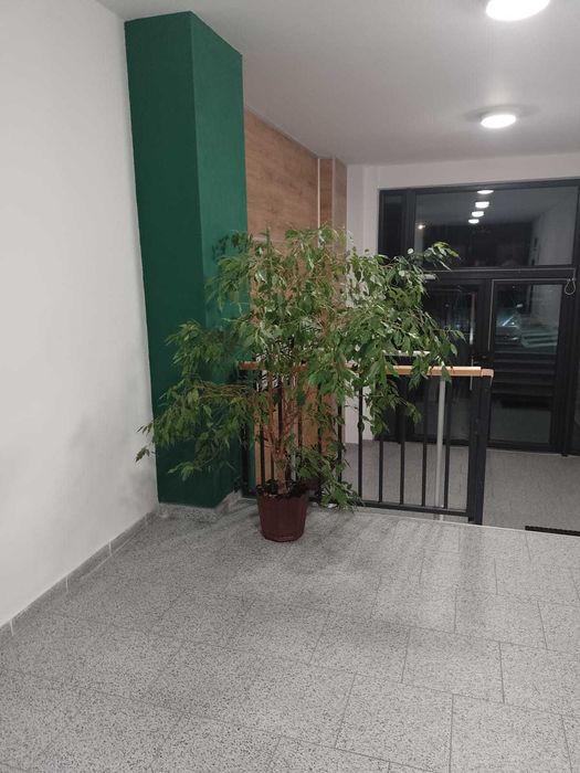 Apartament de închiriat