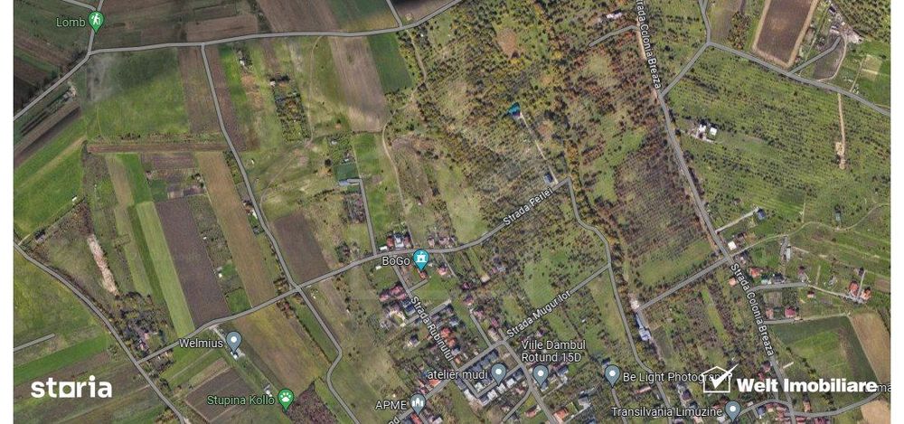 Teren Dambu Rotund 4750 mp, intravilan, UTR TDA_L, posibilitate invest