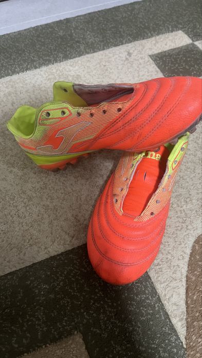 сараканошки.