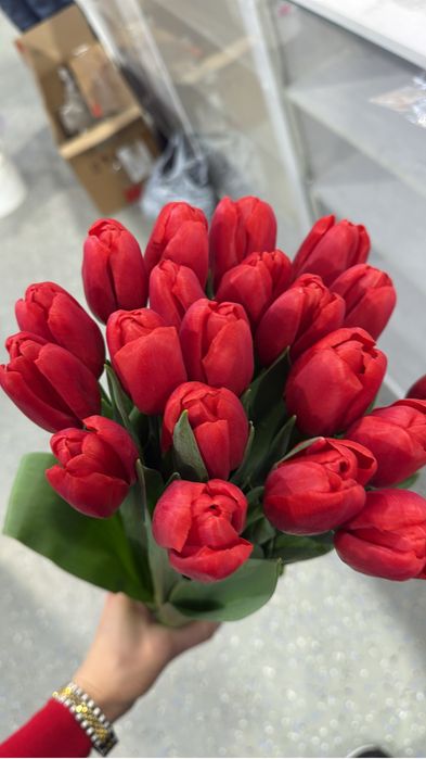 Тюльпаны в наличии