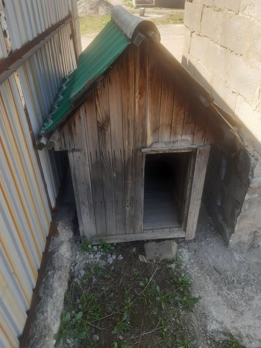 Итке ұя/Большой домик