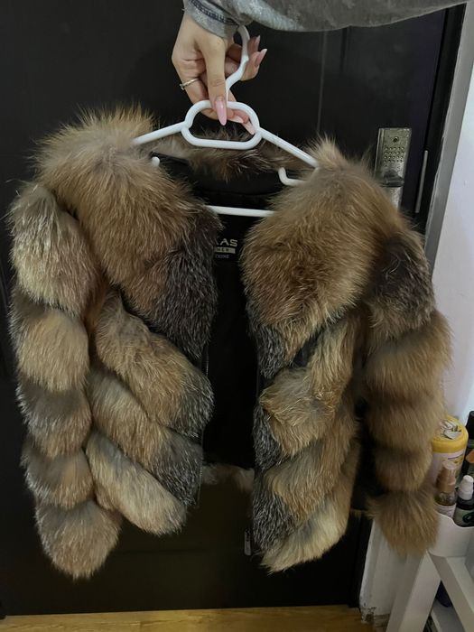 blana vulpe canadiana se face si vesta