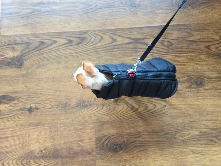 НОВ топъл черен зимен елек за куче от Италия S, M и L размер