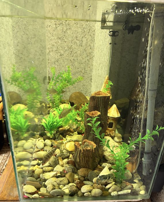 Аквариум с оборудованием