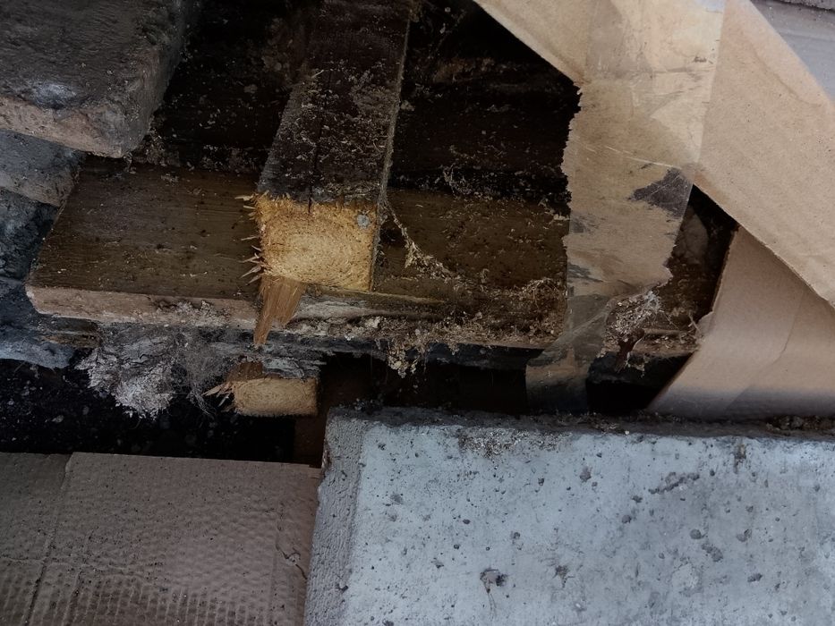 Одам бесплатно щиты деревянные из под собаки.